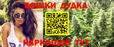 2c-b Лесосибирск