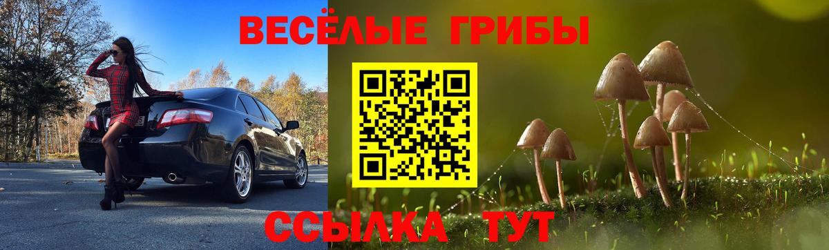 Зеленокумск  купить   Вход с VPN  Псилоцибиновые грибы мухоморы  Псилоцибиновые грибы Psilocybine cubensis 