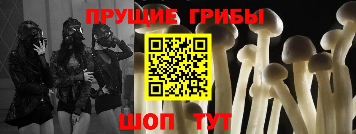 Галлюциногенные грибы мицелий Зеленокумск